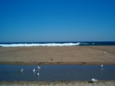 Salisbury Beach, Salisbury, Ma by Beach Head