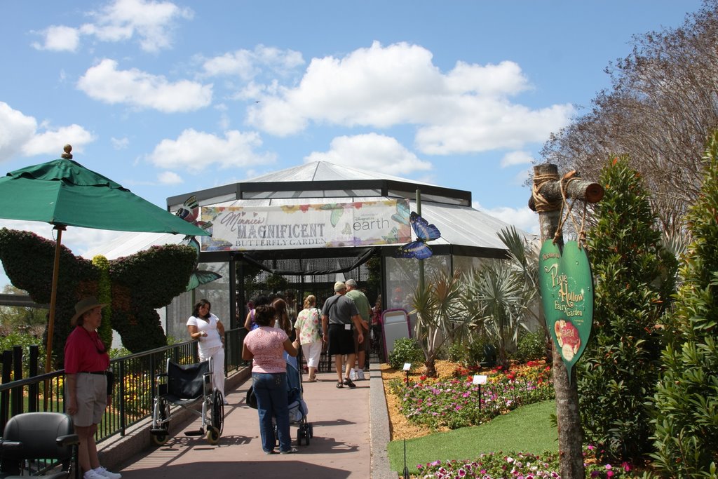 Minnie's Magnificent Butterfly Garden by Scott Hanko