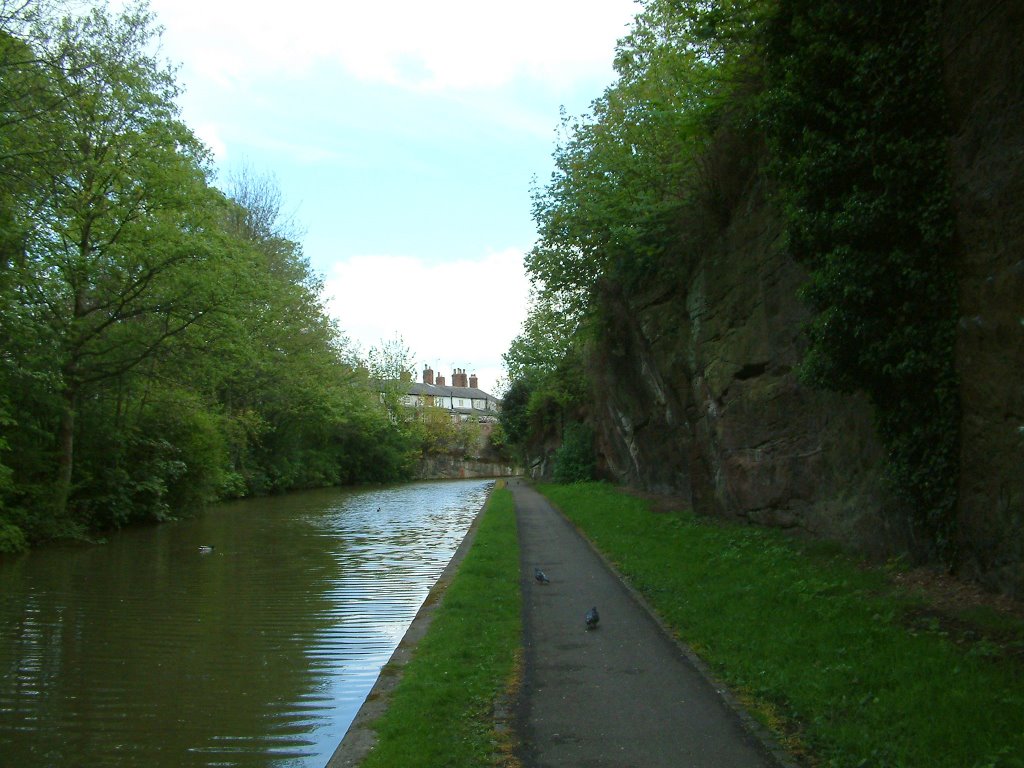 Shropshire Union Canal, Looking East. by Peter Hodge