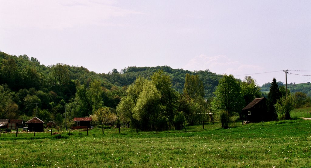 Landscape 1 by Nikolić Zoran