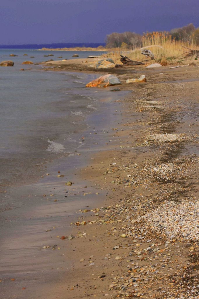 Bruce Beach in the Spring by George Sled