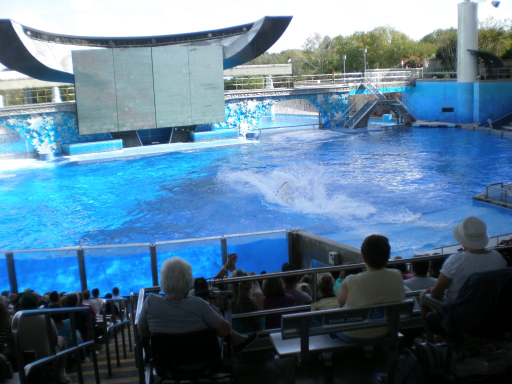 SeaWorld Shamu Stadium by Mery Alverez