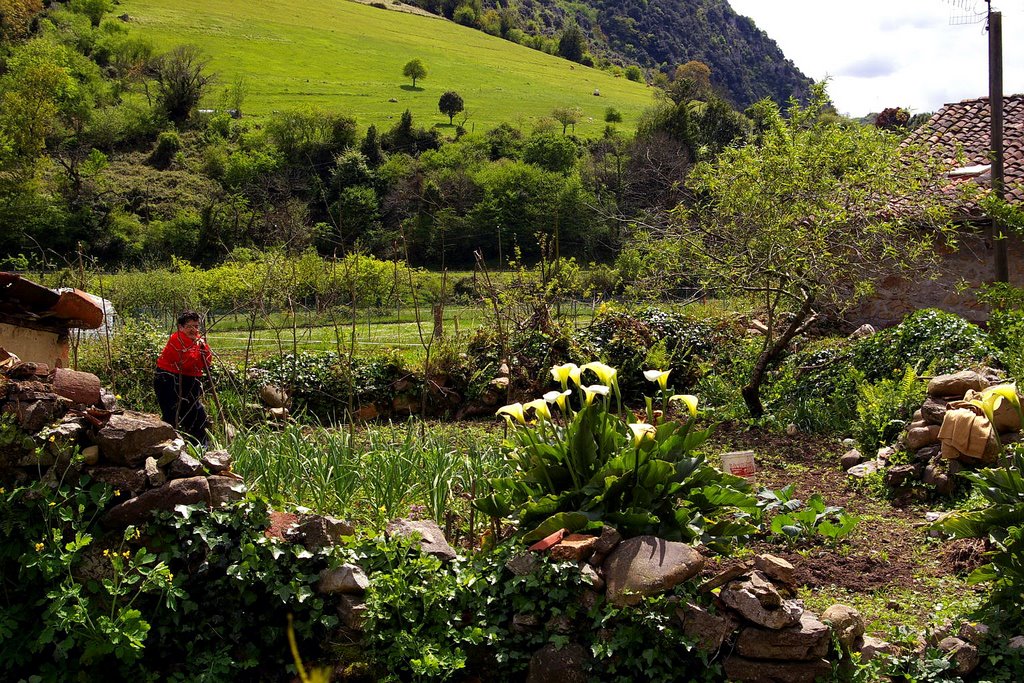 La Huerta, Villanueva, Santo Adriano, Asturias by Antonio Alba