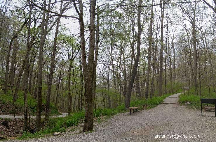 Mammoth Cave NP: A path through the woods by Aislander@ymail.com