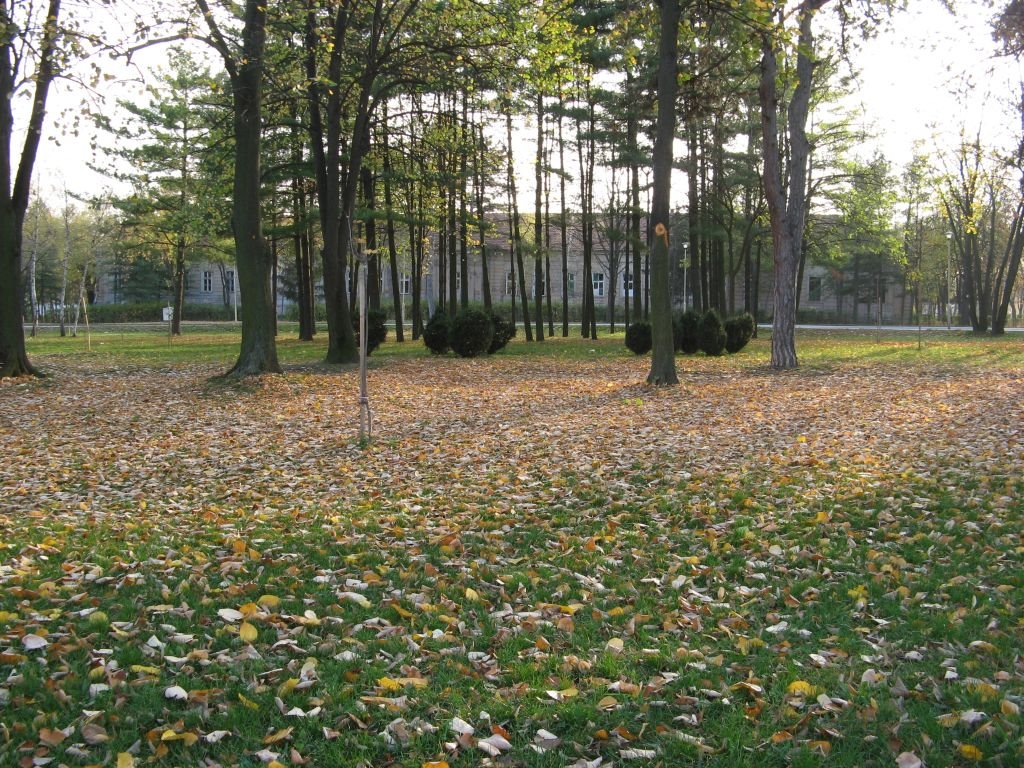 Kragujevac, park u pozadini kasarna by Dejan Kovačević