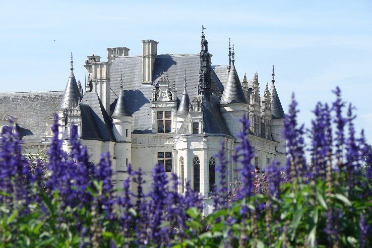 Chenonceaux by panmax74