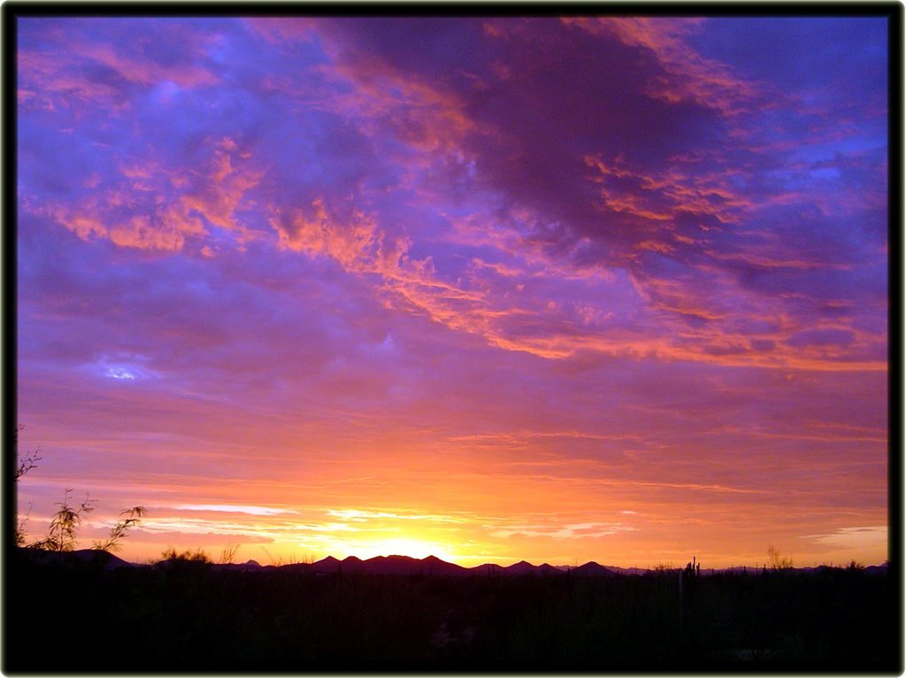 Phoenix Backyard by slongman