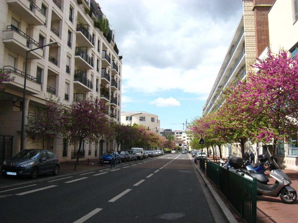 Les arbres refleurissent au printemps. by ☮Ronan 60 countries☮