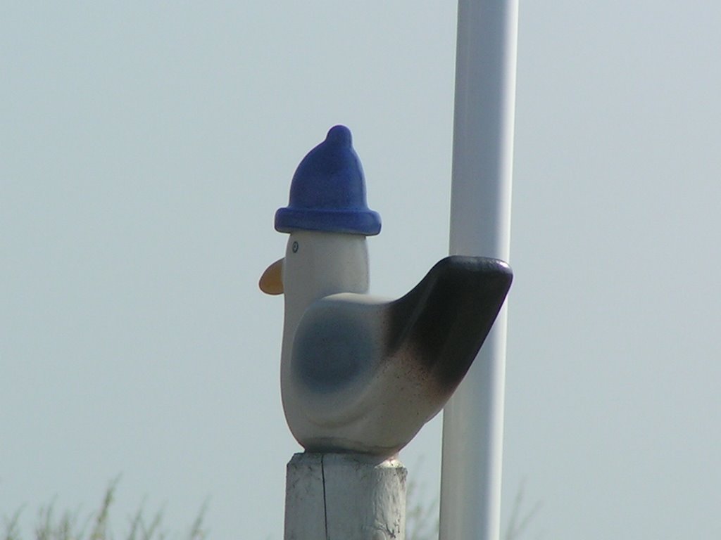 Deutschland - Borkum by G.Mariss