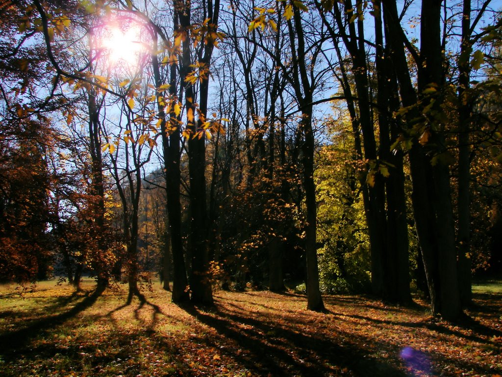 Turčianska Štiavnička park by Lubomir Vajda