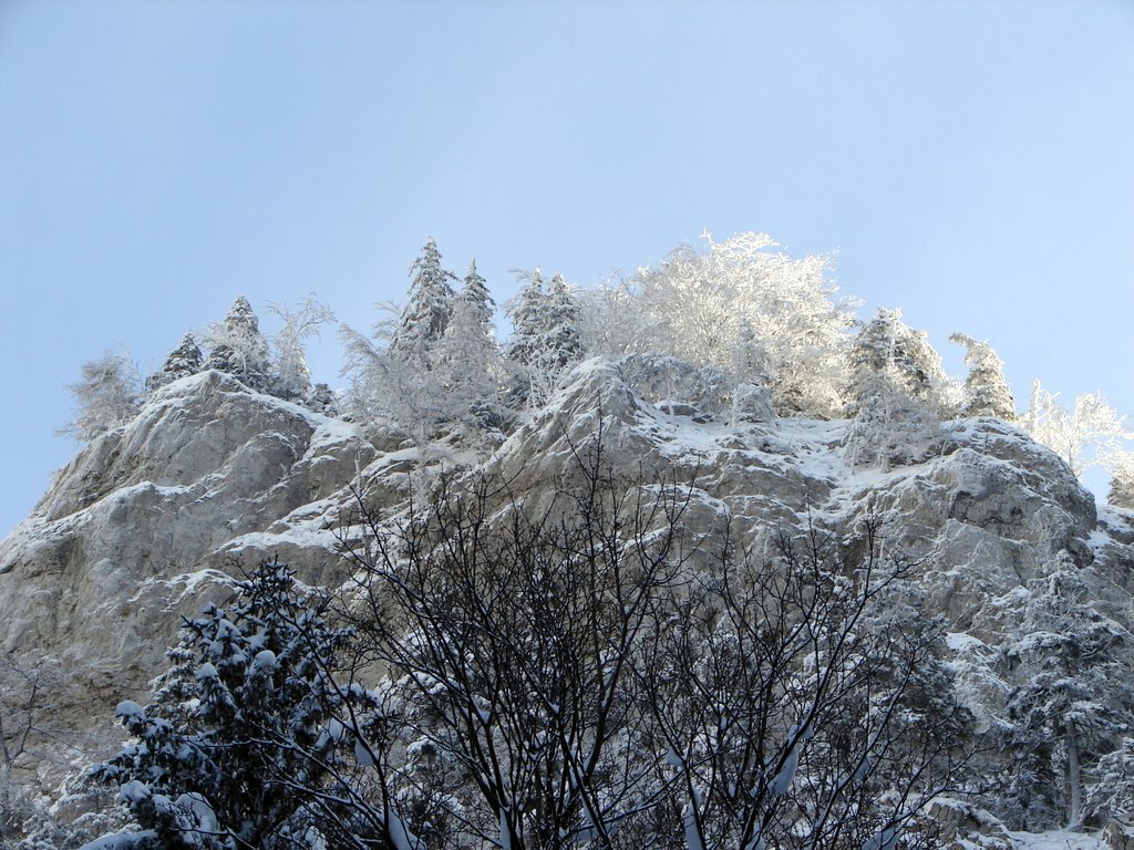 038 15 Blatnica, Slovakia by Lubomir Vajda