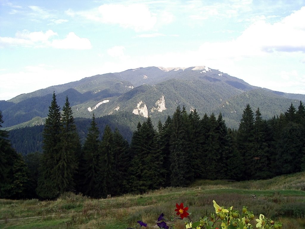 Predeal - View of Piatra Mare Peak by Florin Cherbis