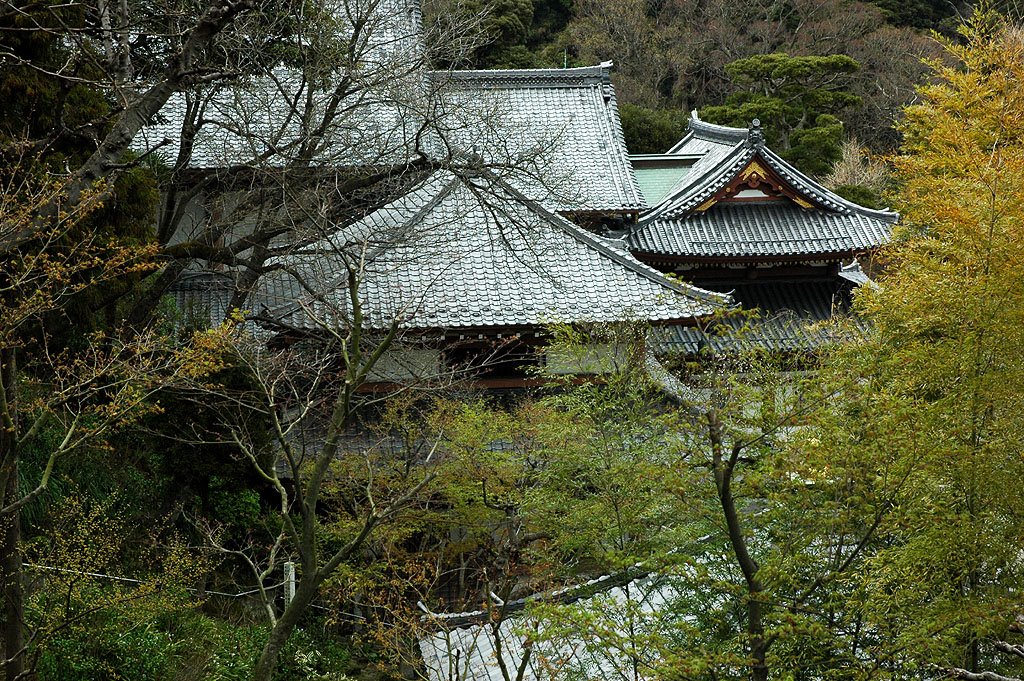 Hase-dera Temple by Markus Gutermuth