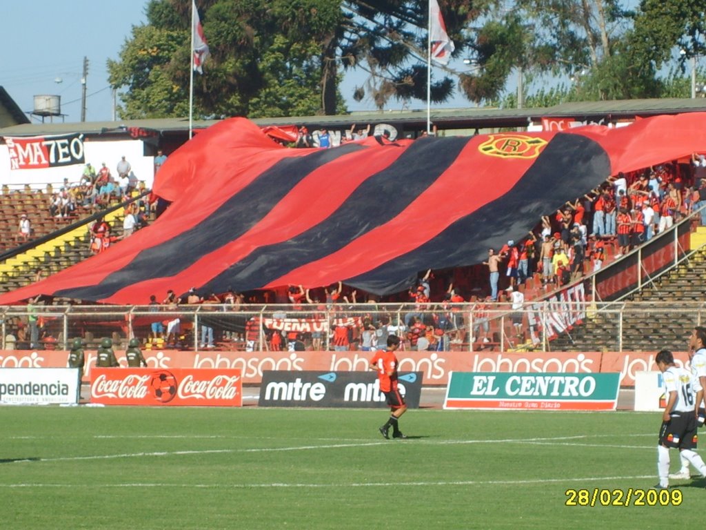 Estadio Fiscal de Talca by ricardoicc