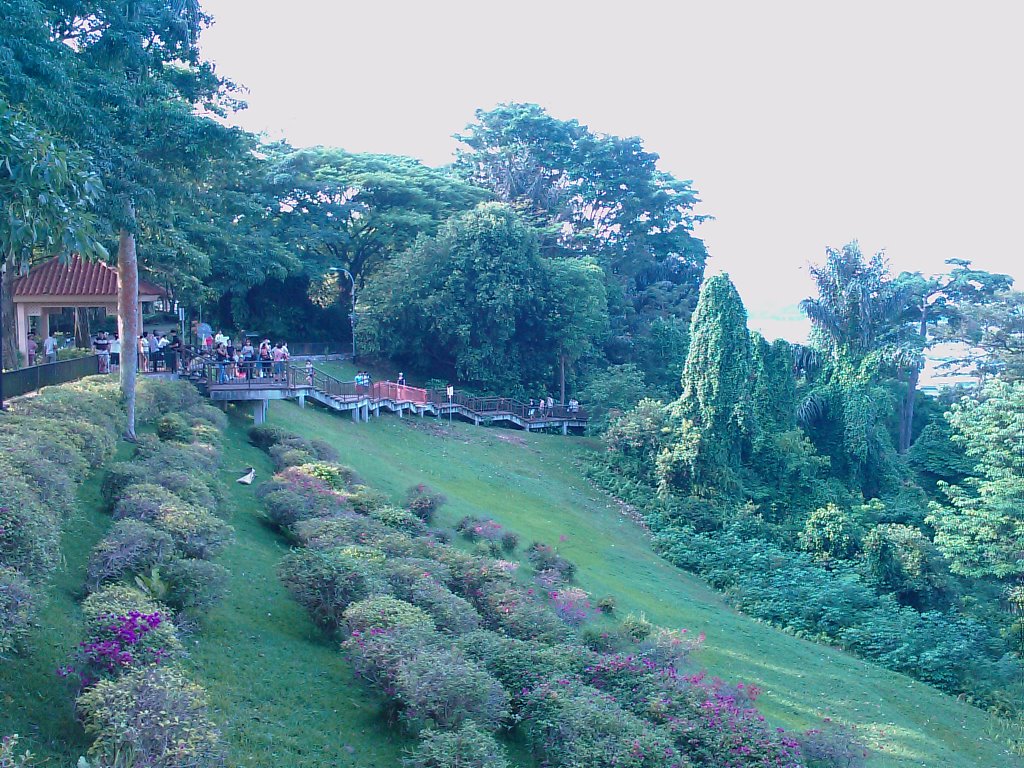 Mount Faber Park by Walter Wu