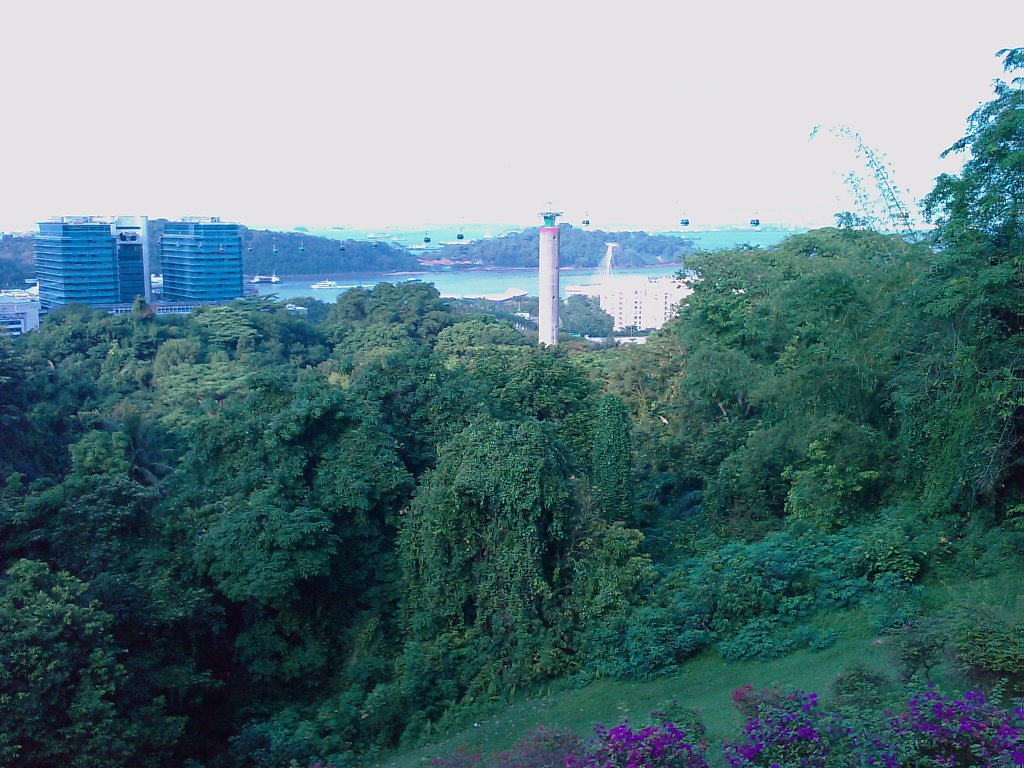 Mount Faber Park by Walter Wu