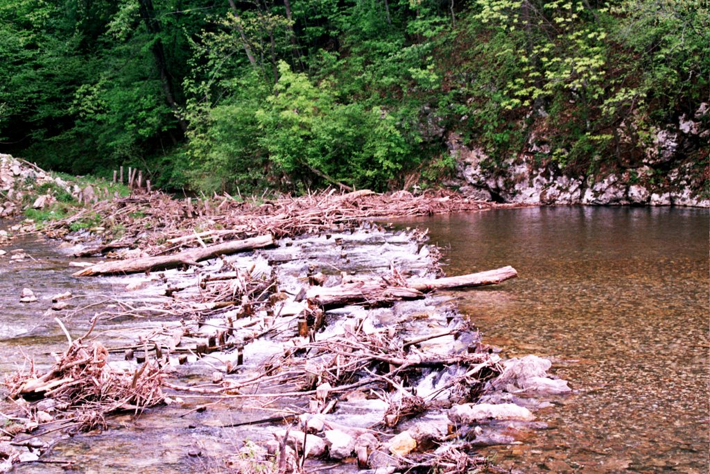 Gradac River 6 by Nikolić Zoran