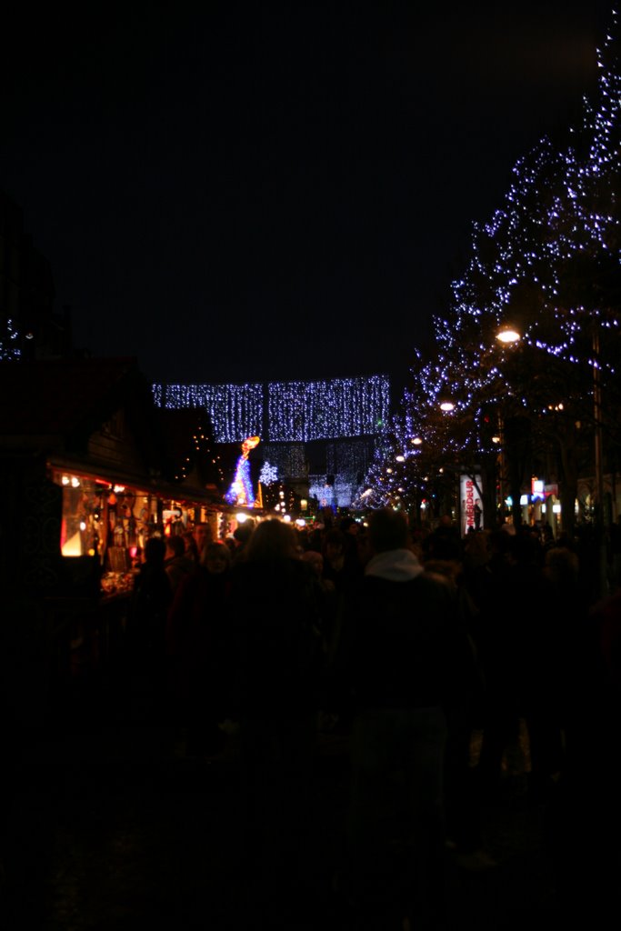 Marché de Noël, Reims, Marne, Champagne-Ardenne, France by Hans Sterkendries