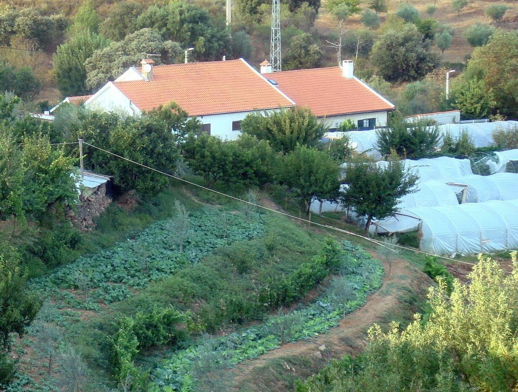 5340 Macedo de Cavaleiros, Portugal by BANRESES