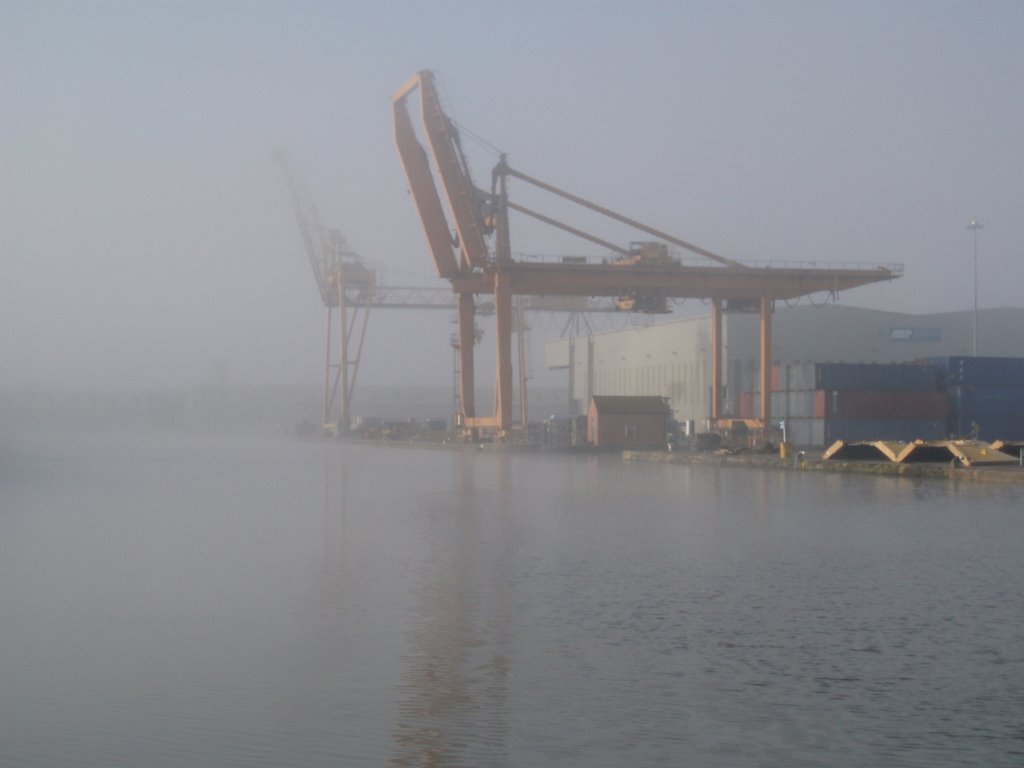 Gantrys at Goole Docks on a Misty Morning by Brian Brady