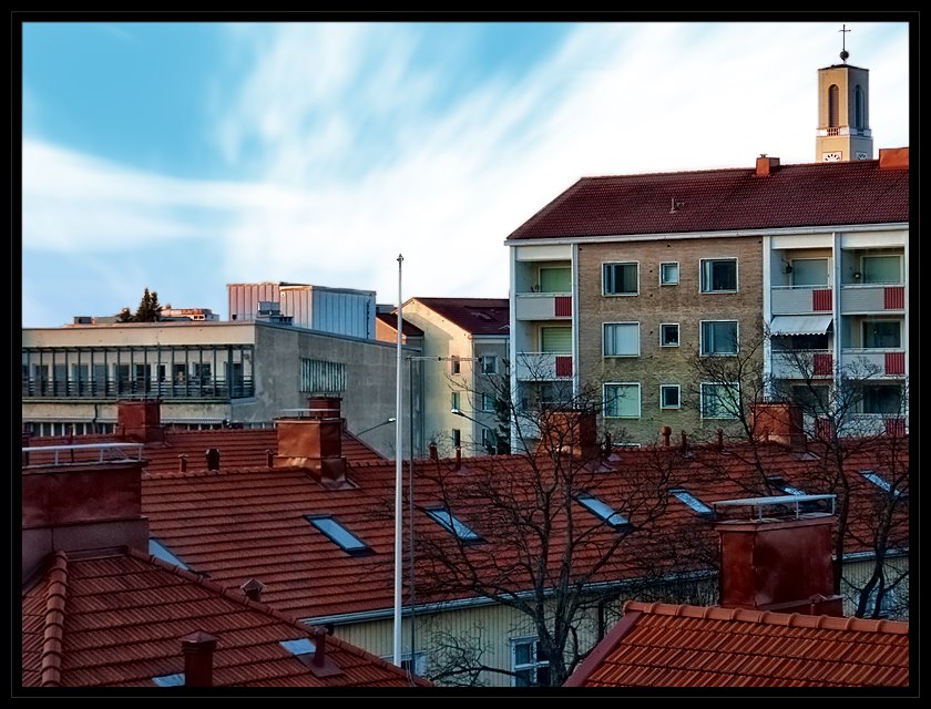 Roofs by Harri Palin