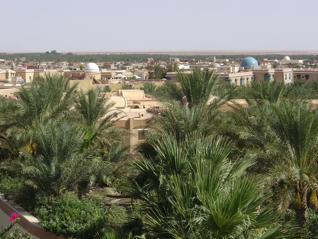 Città nel deserto - Tozeur by 2 Giuseppe Caterina