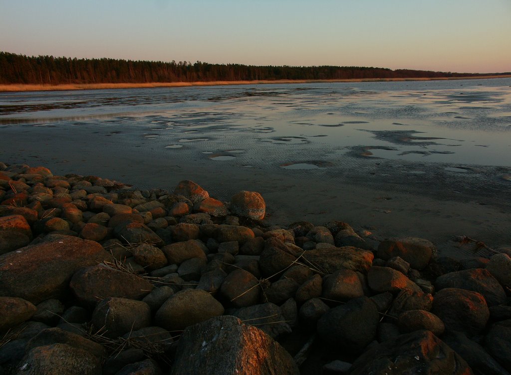 Killi tee, Reiu, 86508 Pärnu maakond, Estonia by fiha