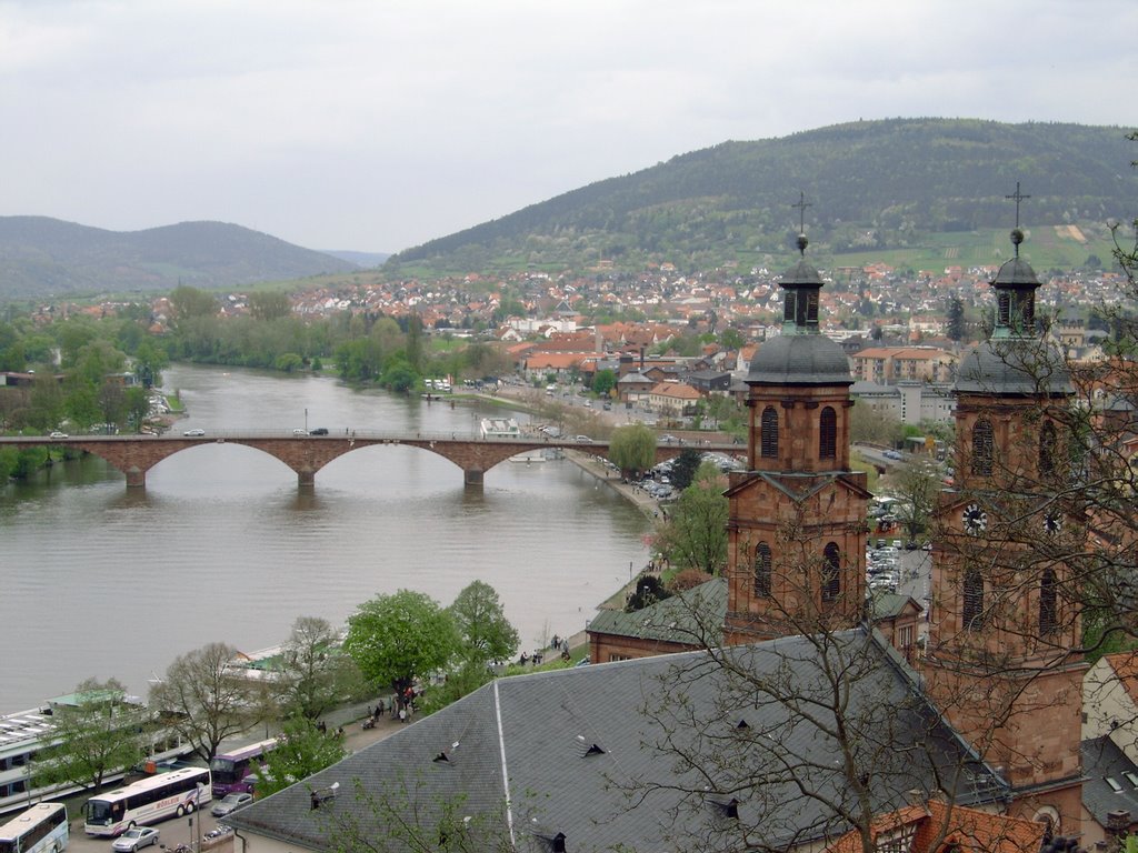 Blick auf Miltenberg von der Burg by Heiko Roth