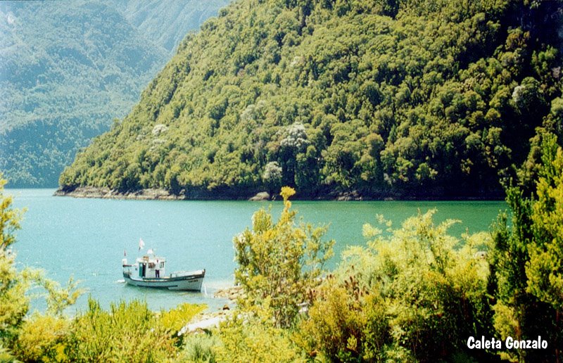 Caleta Gonzalo (scan of paper photo) by iroco