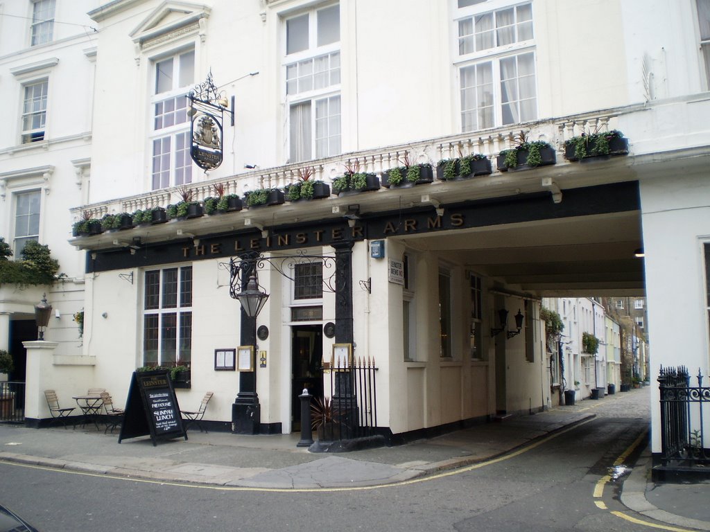 10the leinster arms by niceeyes