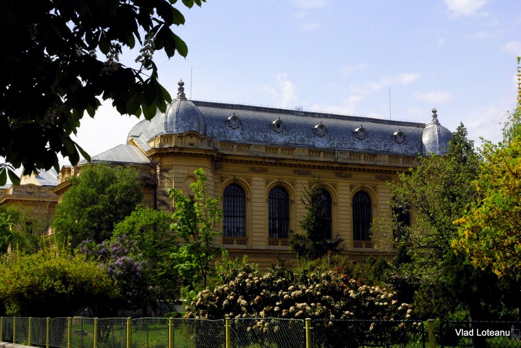 Bucarest University Of Medecine Carol Davila by Vlad Loteanu