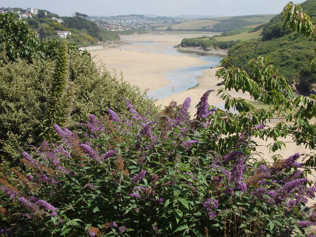 The gannel, newquay by pat j clarke