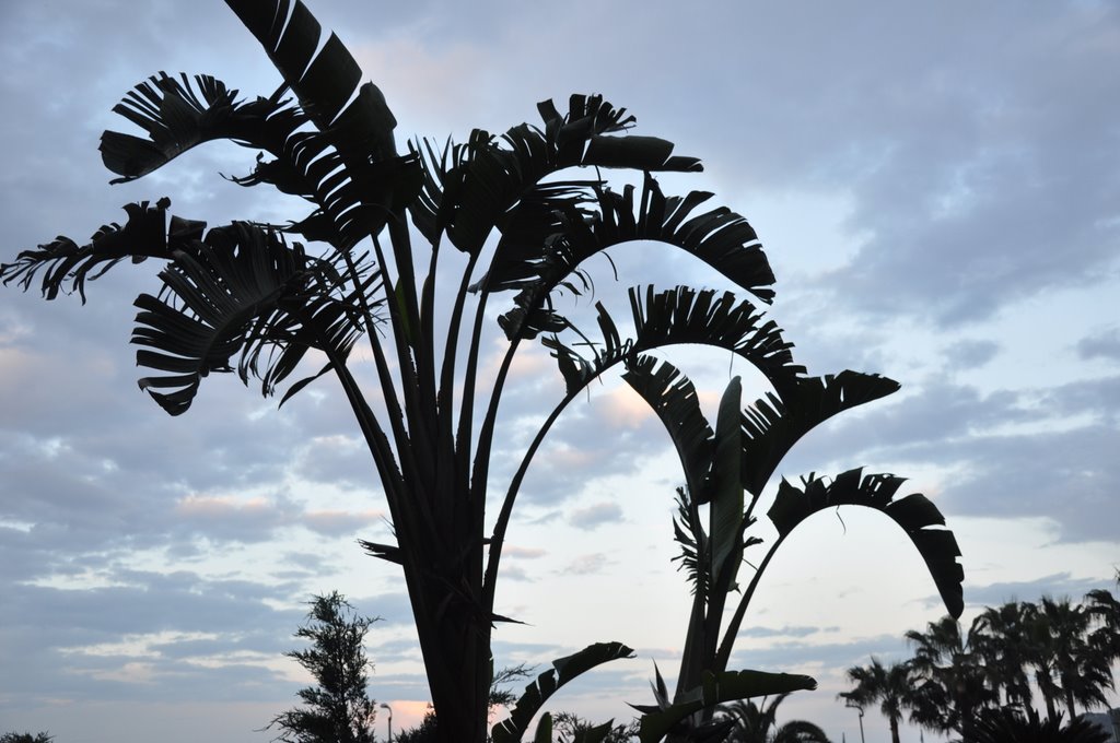 Silhouettes in Kemer (Turkey) by Ruud Morijn