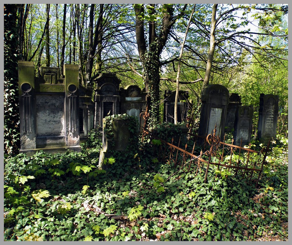 Old jewish cemetery by jadransko