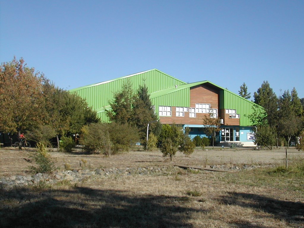 Gimnasio, Universidad del Bío-Bío by isaacperalta