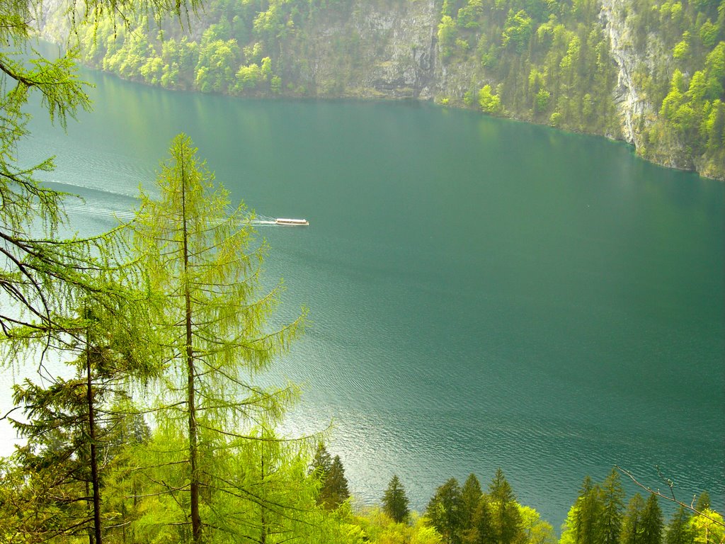 Spring at Königssee by Ganster Helmut