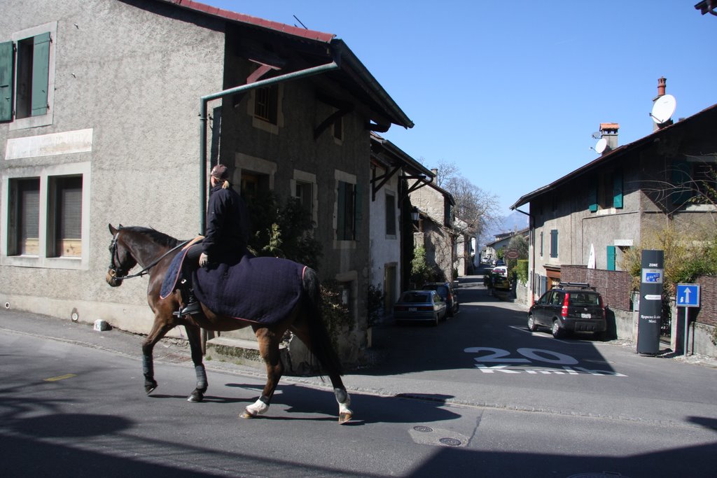 瑞士日内瓦埃尔蒙斯 Hermance, Switzerland 2009-05-01 by HMJ-2009