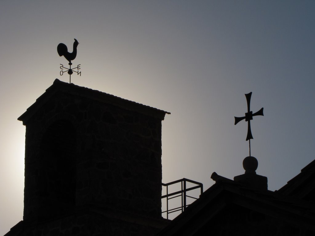 Gallo de los vientos by gerebaldi