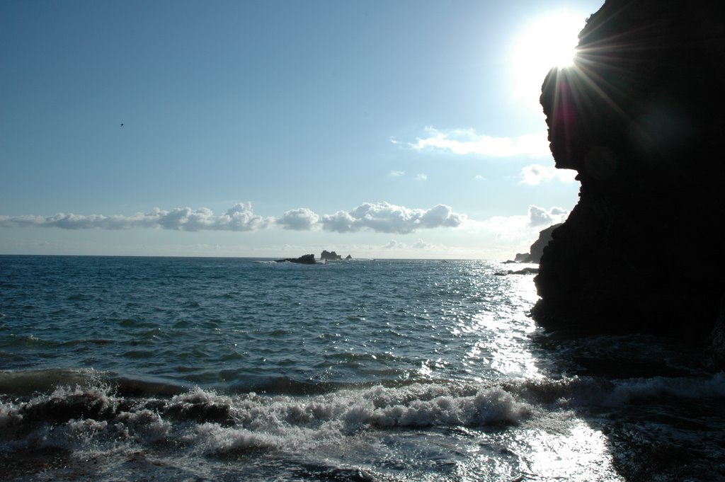 Lizard point down at lifeboat ramp by Frenkske