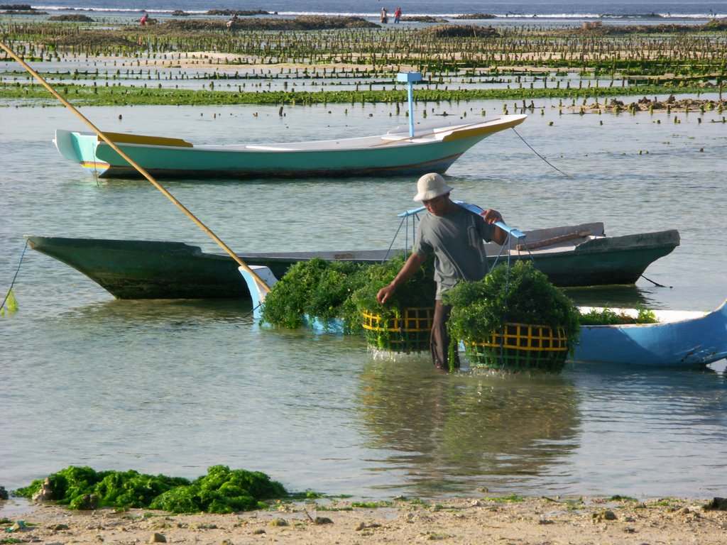 Nusa Lembongan by laurentgaillard