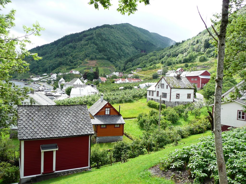 Hardanger, Hordaland, Norway (June 2008) by Charles Spink