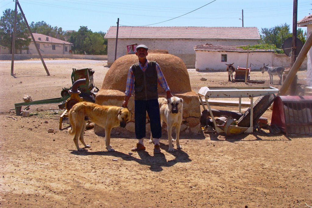 ALTINEKİN SARNIÇ ---- ÇOBAN VE KÖPEKLERİ by **MuhSaPo1**