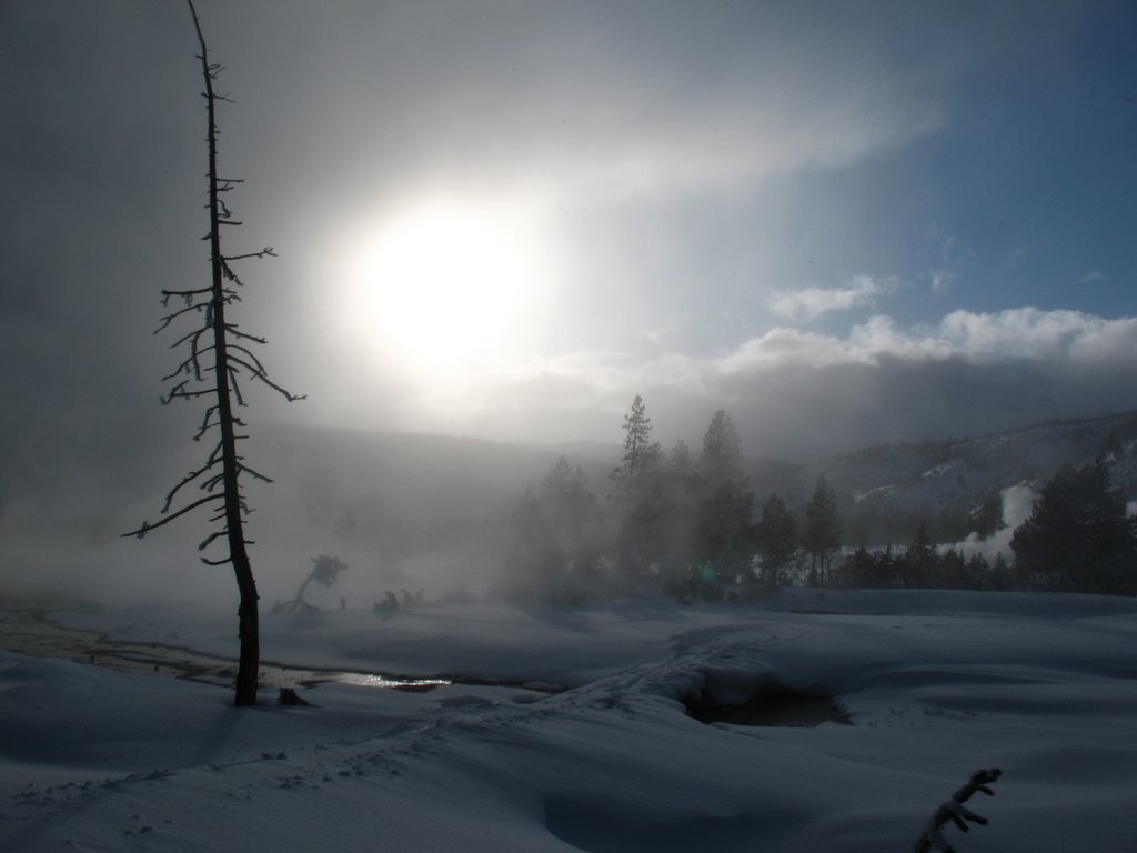 Afternoon in upper geyser basin by pcmoore