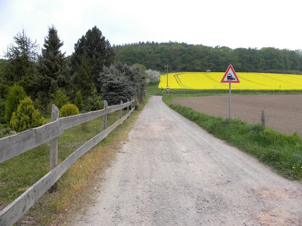 Klosterbuch, Weg zur Riedelsteig by Walter Stuber