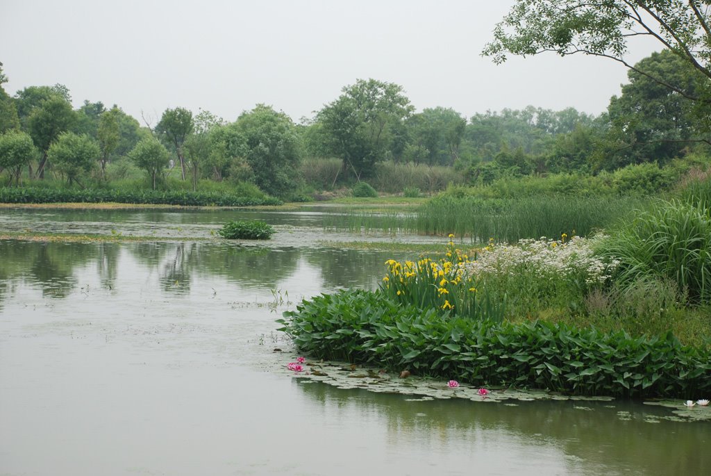 Xixi wetland西溪湿地(文三路口)20090502 by 岳良沈