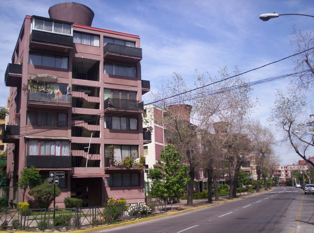 Bloques pequeños Remodelación Providencia by Caracho