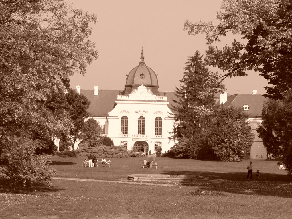 Grassalkovich palace by waxwing