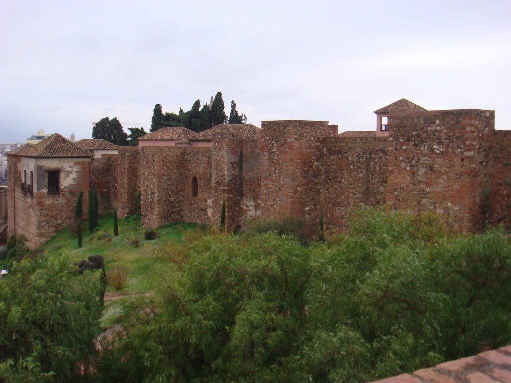 Alcazaba de Malaga by jmap z