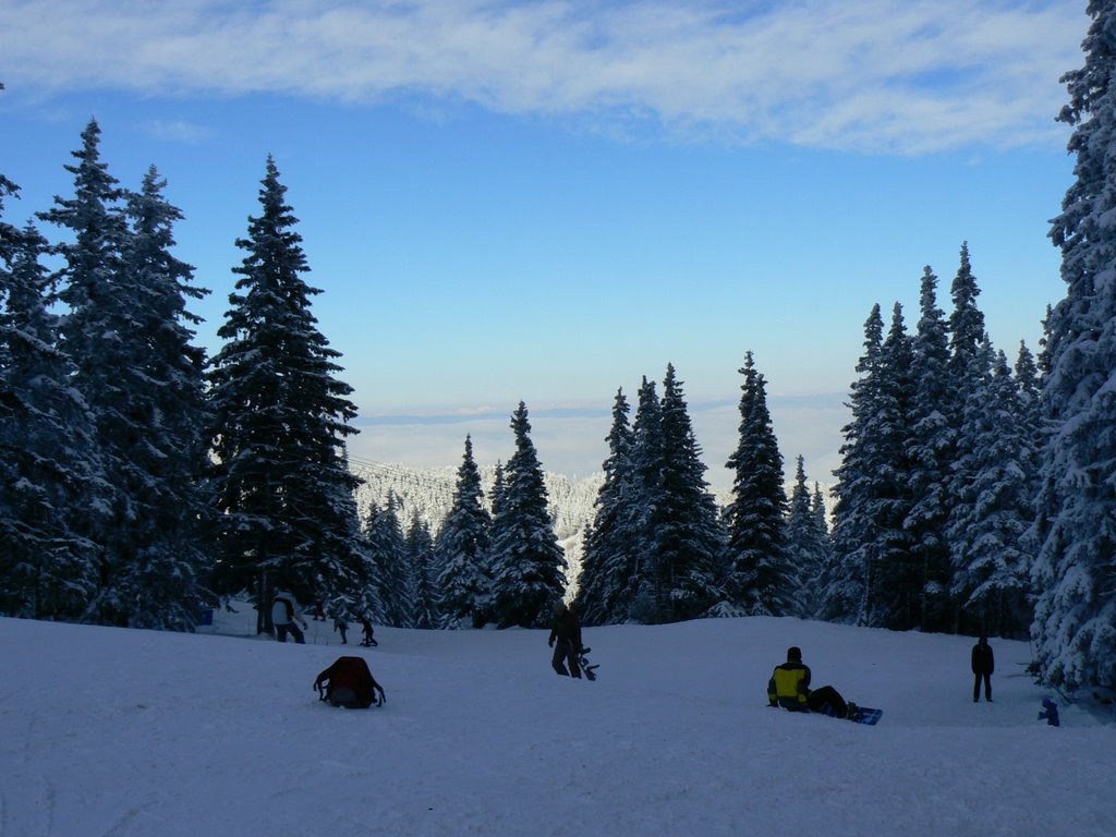 Vitosha mountain by dilyana06