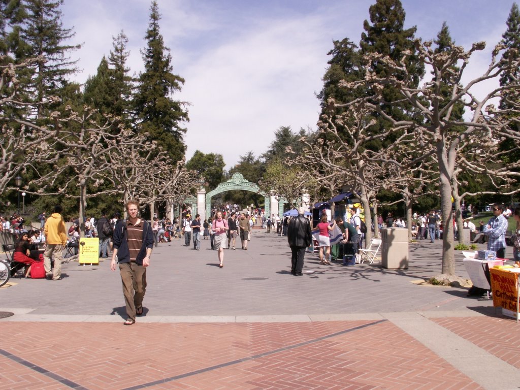 Sather Gate, Berkeley campus by niitsoo